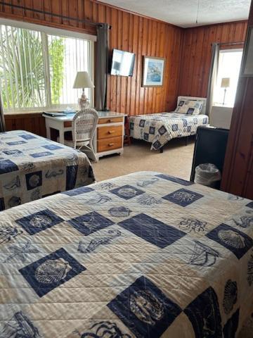 Seahorse Inn New Smyrna Beach Esterno foto
