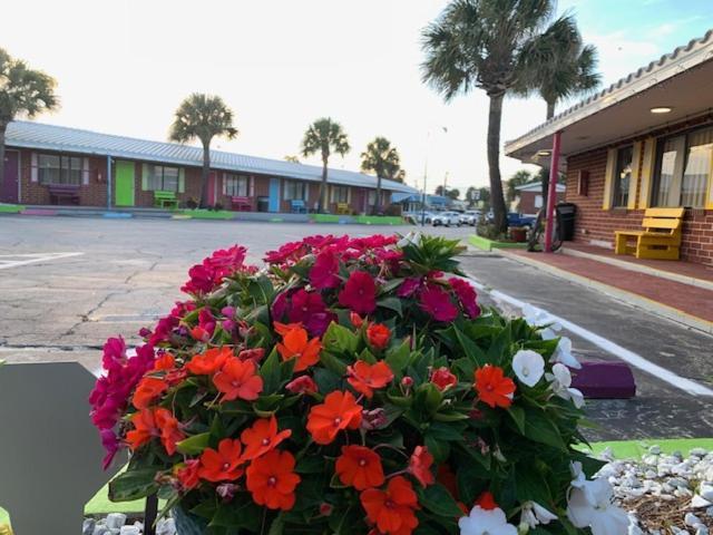 Seahorse Inn New Smyrna Beach Esterno foto