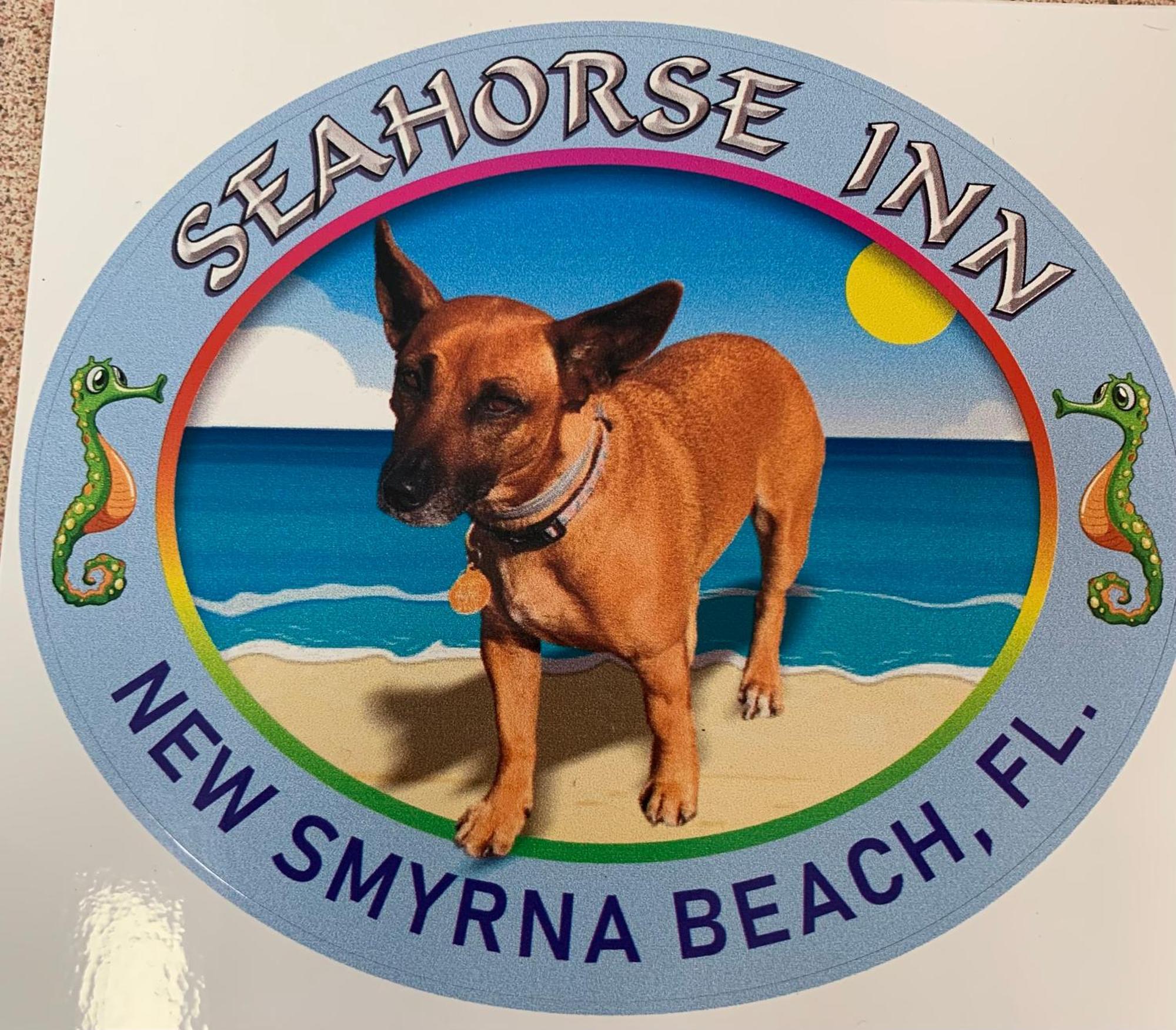 Seahorse Inn New Smyrna Beach Esterno foto